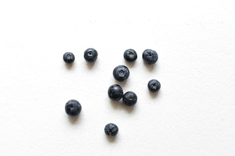 青嵩素(青嵩素：新型天然植提物，天然蓝色食品添加剂)