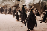 季克良：探索南极的环保先锋